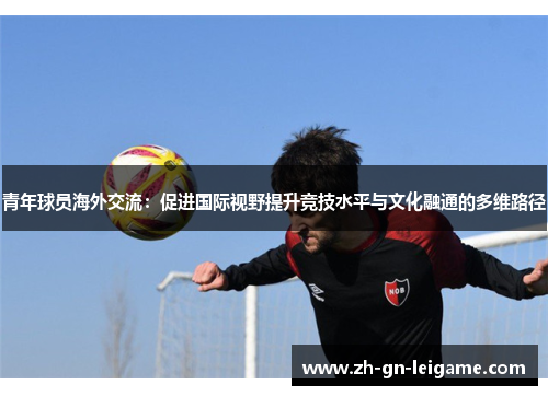 青年球员海外交流：促进国际视野提升竞技水平与文化融通的多维路径