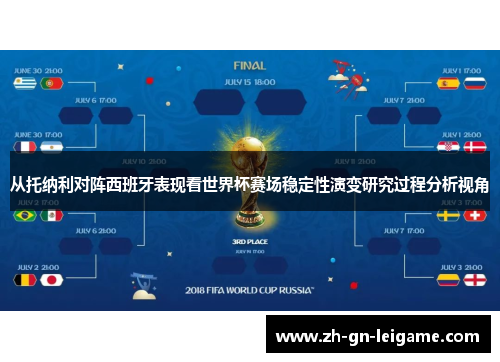 从托纳利对阵西班牙表现看世界杯赛场稳定性演变研究过程分析视角